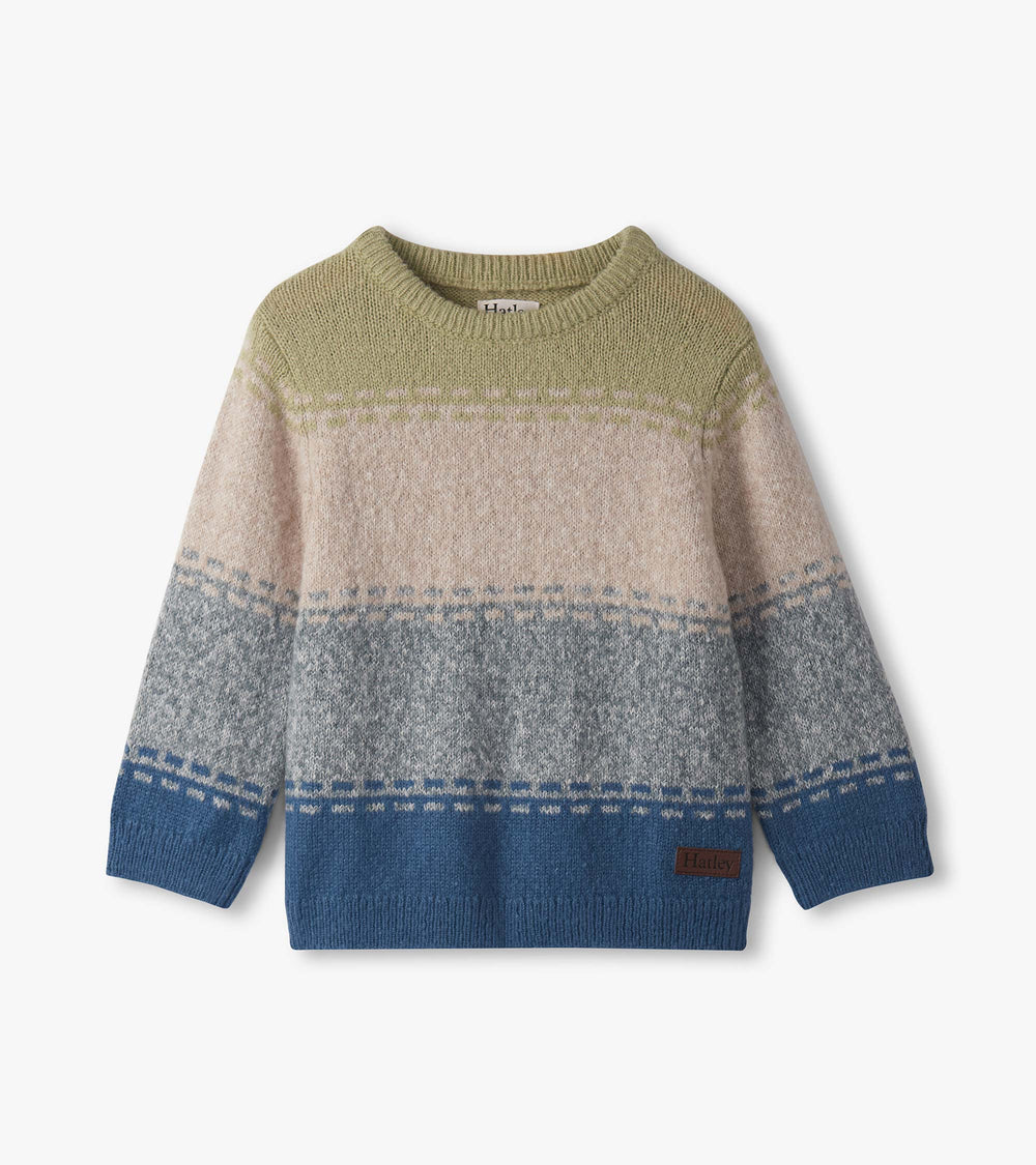 Baby & Toddler Boys Blue Combo Crew Neck Sweater