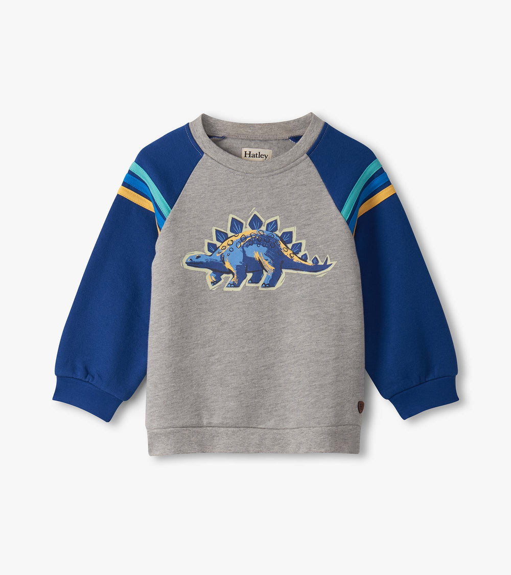 Baby & Toddler Boys Glow in the Dark Dino Pullover Sweatshirt