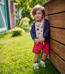 Baby & Toddler Boys Chrysanthemum French Terry Shorts