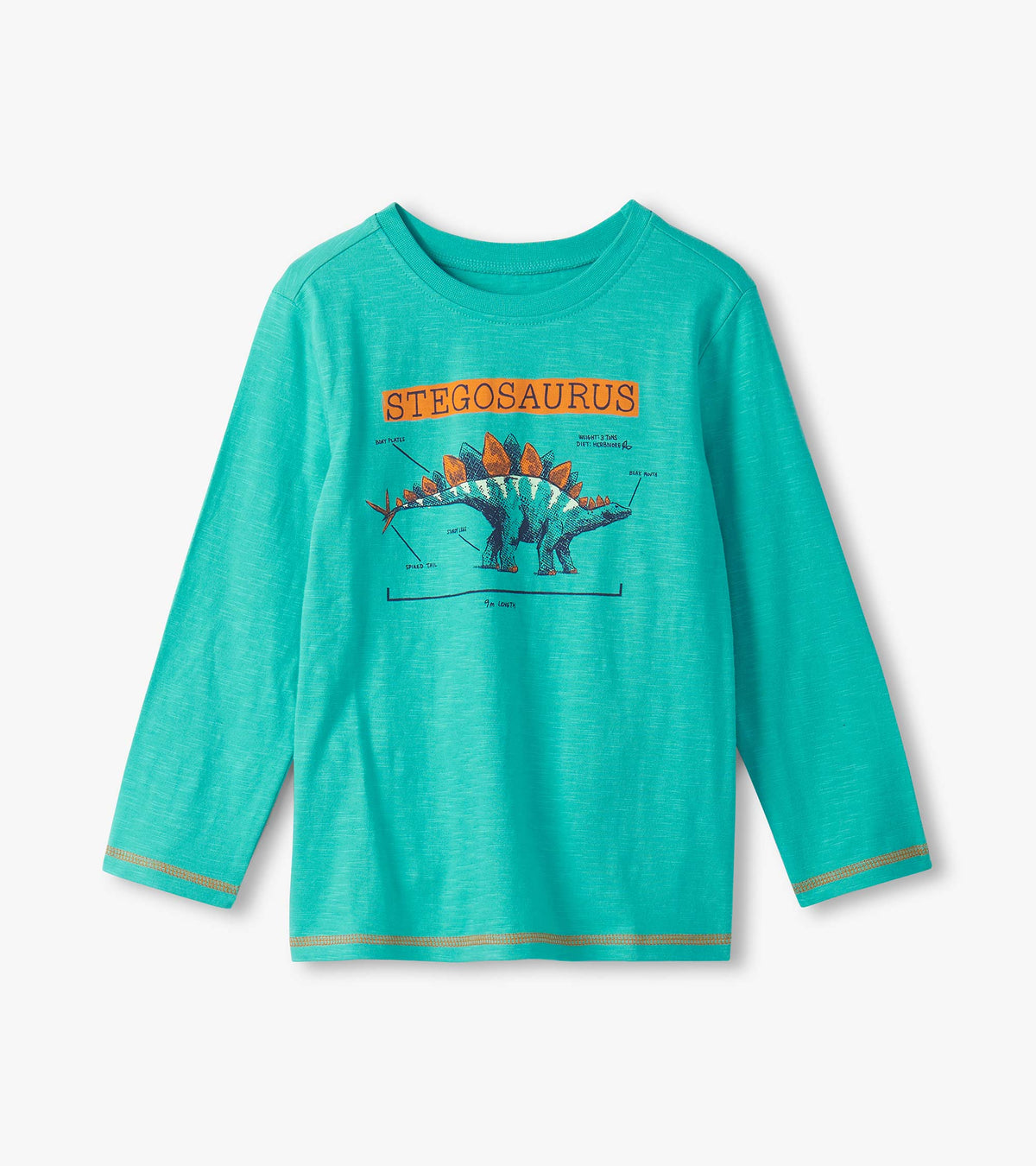 Boys Stegosaurus Glow in the Dark Long Sleeve Graphic Tee