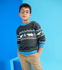 Boys Polar Winter Crew Neck Sweater