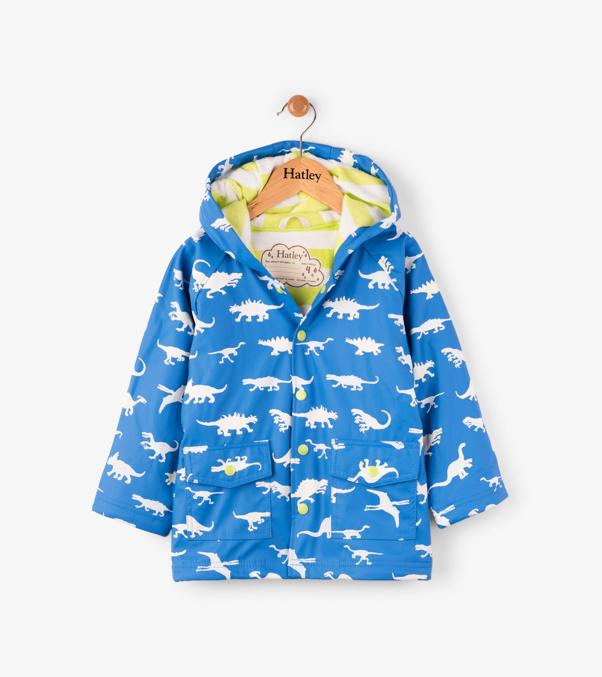 Color Changing Dinosaur Ménagerie Raincoat