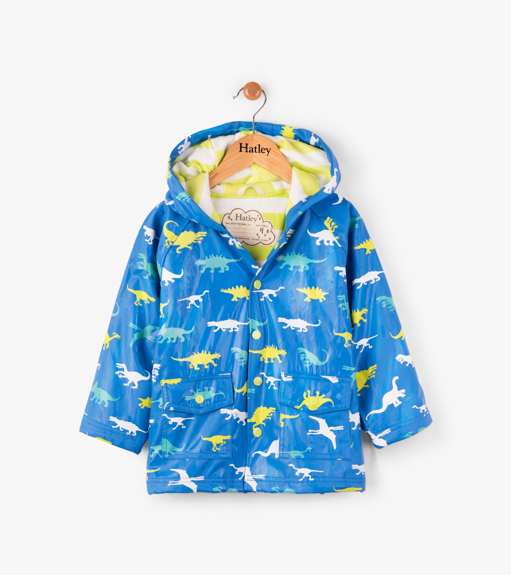 Color Changing Dinosaur Ménagerie Raincoat