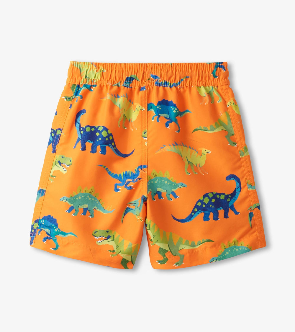 Boys Colorblock Dino Swim Shorts