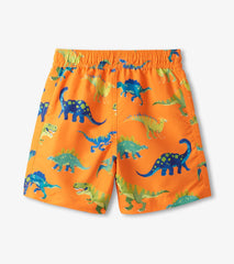 Boys Colorblock Dino Swim Shorts