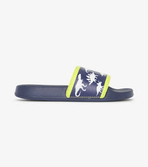 Boys Dino Slides