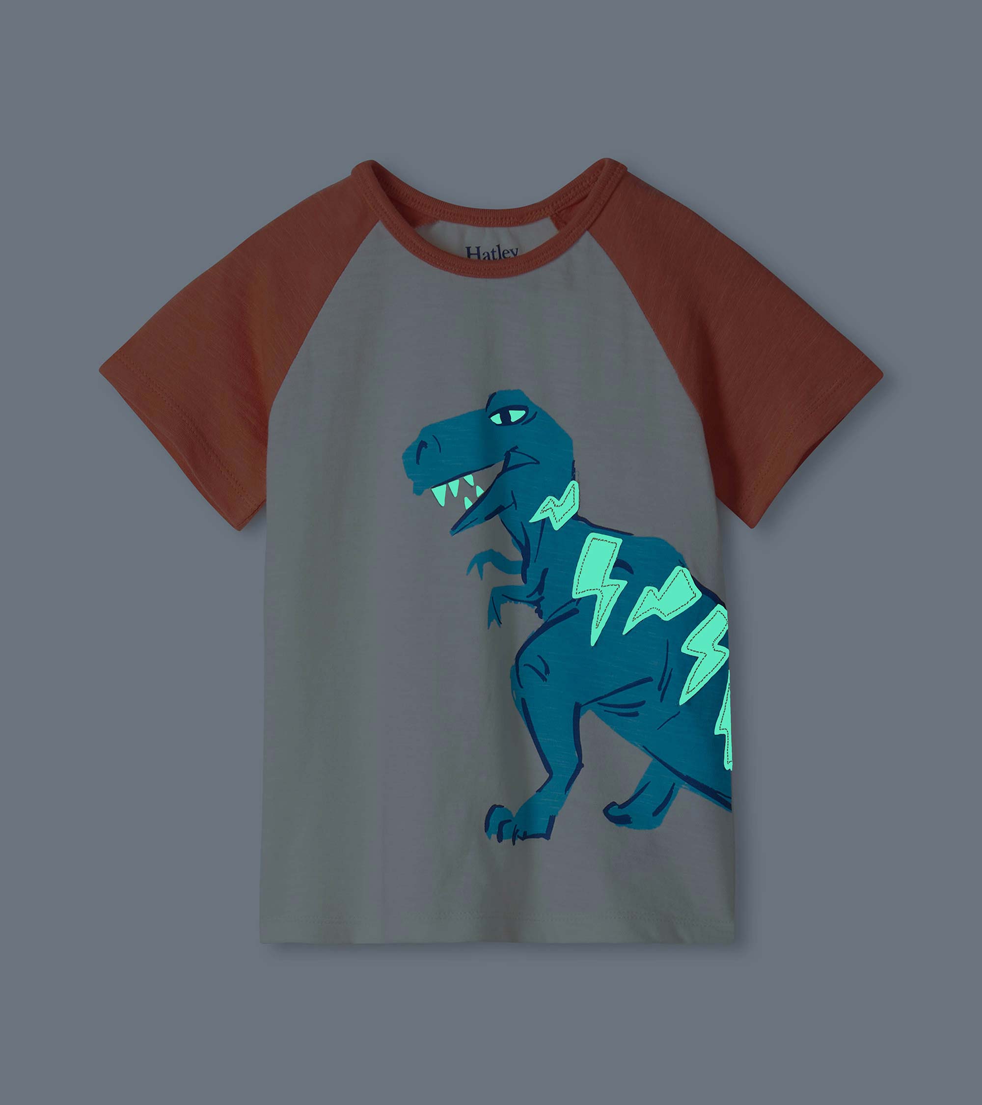 Baby & Toddler Boys Glow in the Dark Stegosaurus T-Shirt & Shorts Set