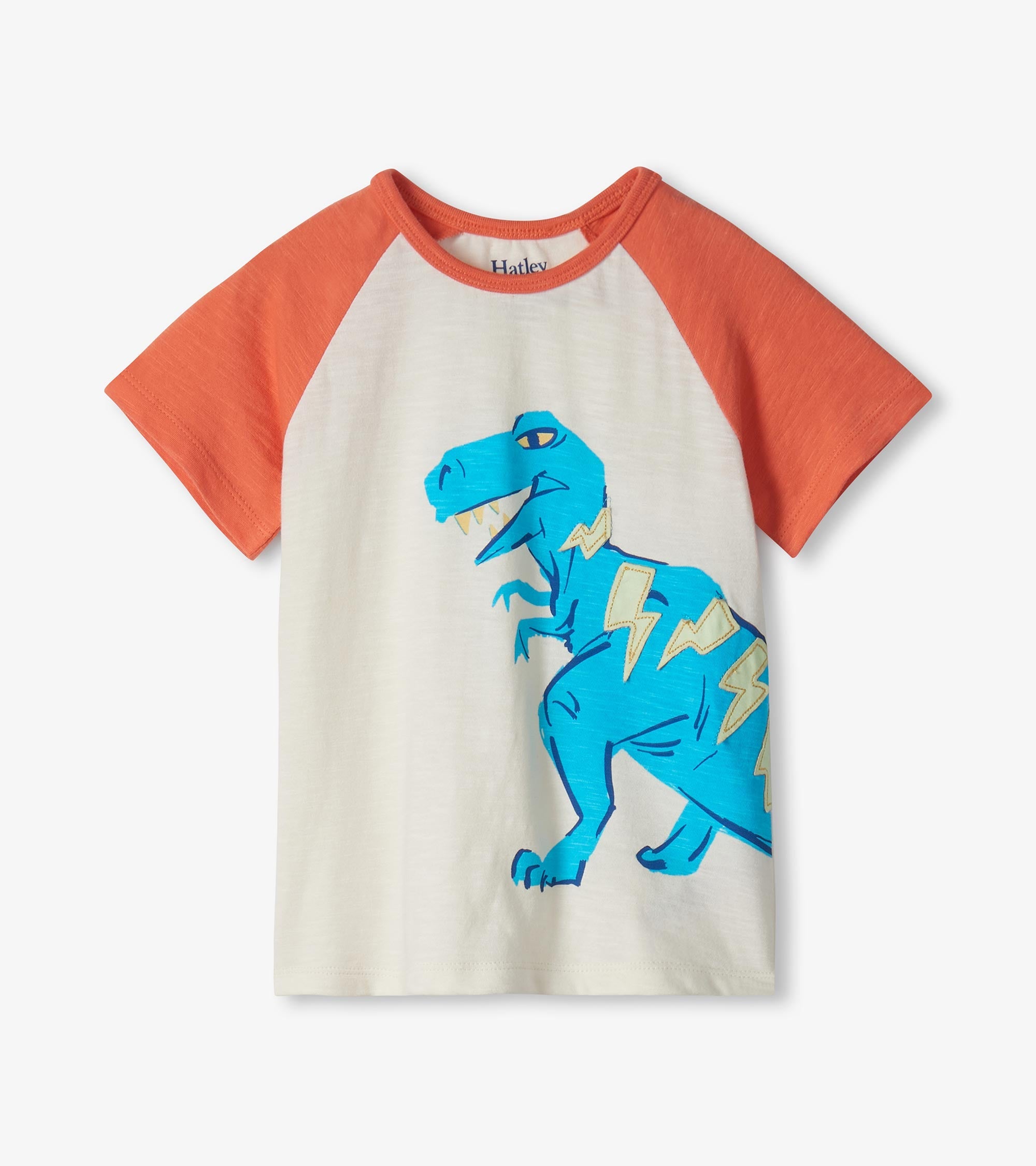 Baby & Toddler Boys Glow in the Dark Stegosaurus T-Shirt & Shorts Set