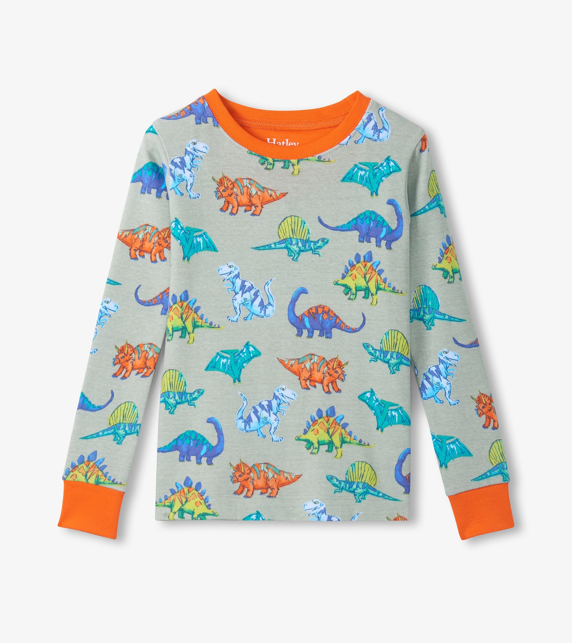 Boys Dino Party Cotton Pajama Set