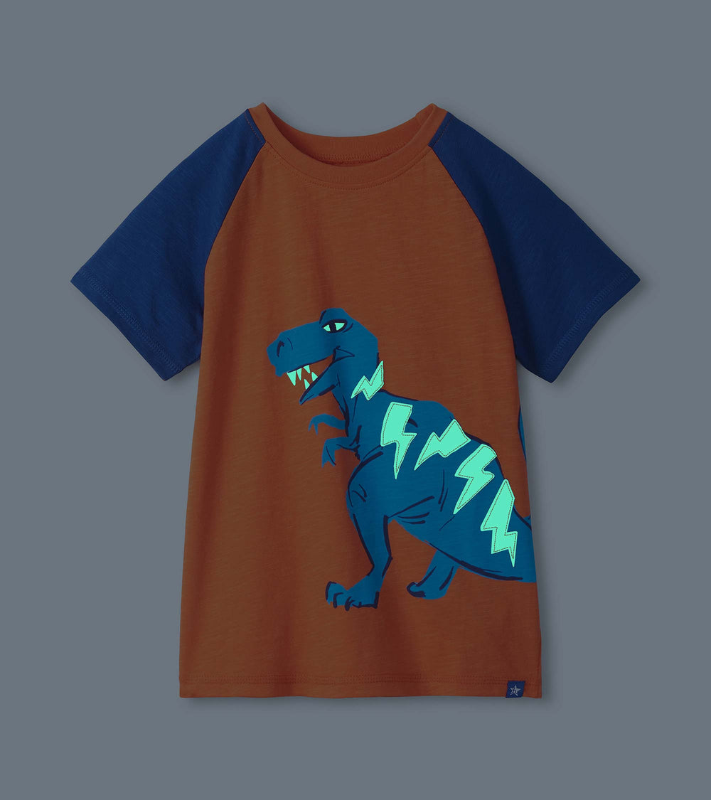 Boys Glow in the Dark Dino Raglan T-Shirt