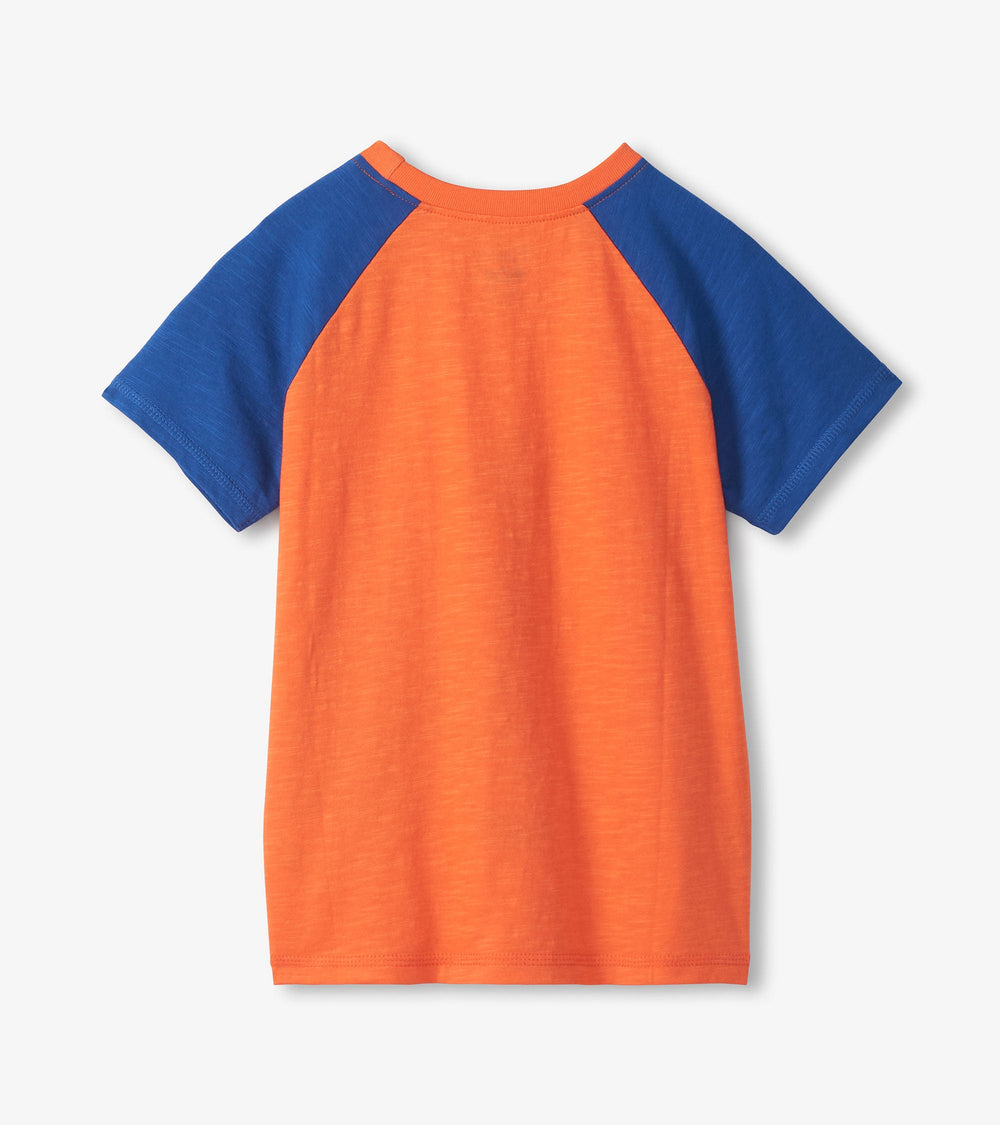 Boys Glow in the Dark Dino Raglan T-Shirt