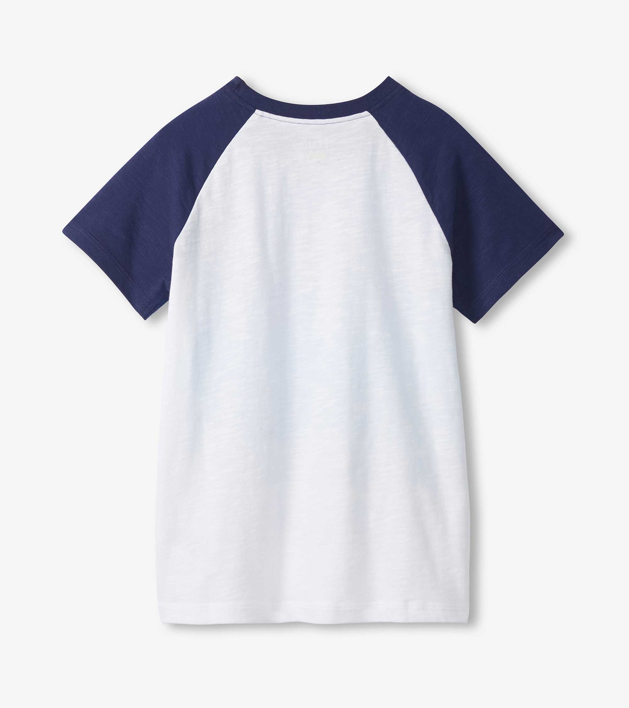 Boys Fin Stripes Raglan T-Shirt