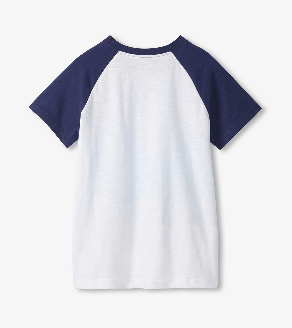 Boys Fin Stripes Raglan T-Shirt