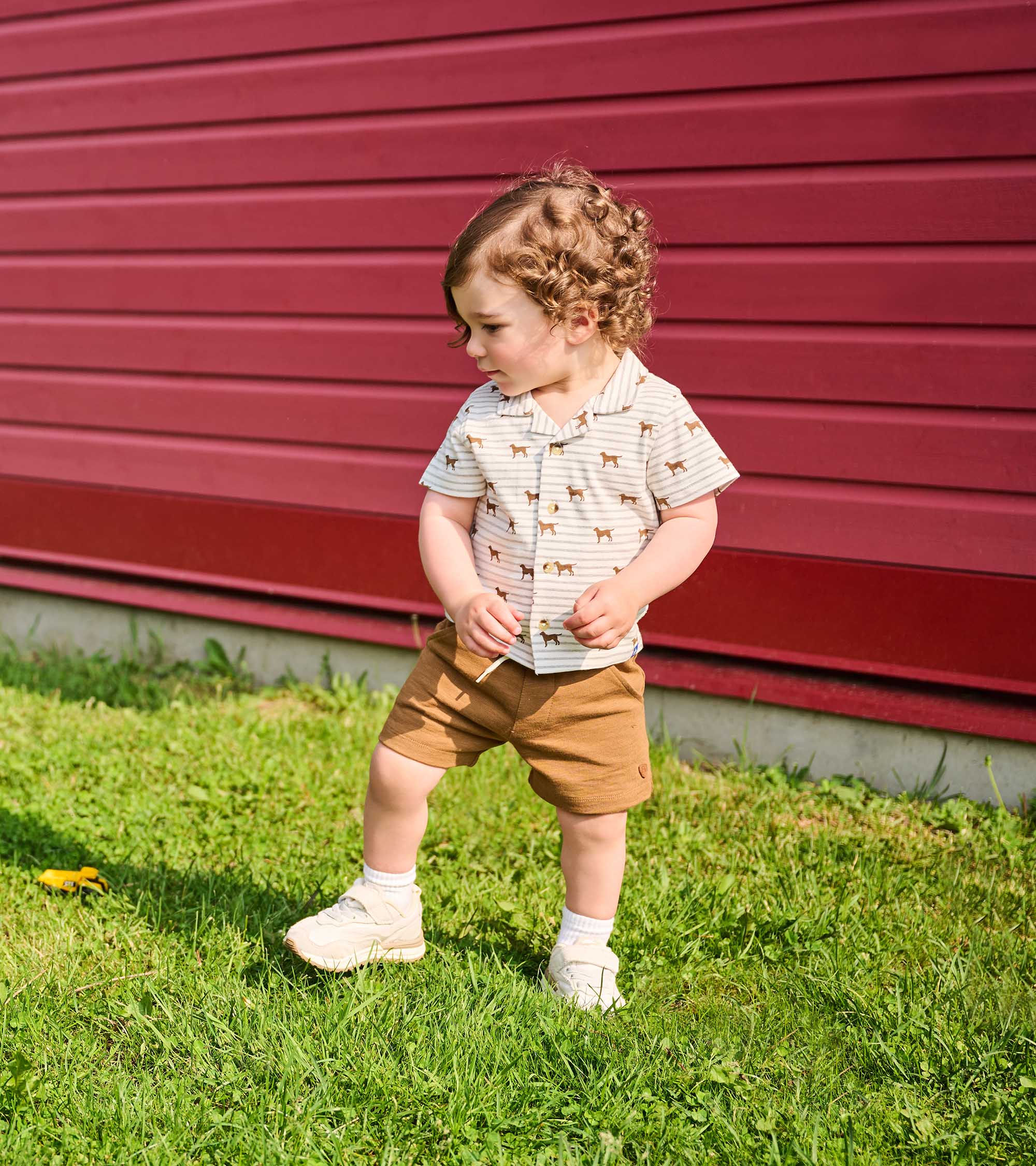 Baby & Toddler Boys Toasted Coconut Pull-On Shorts