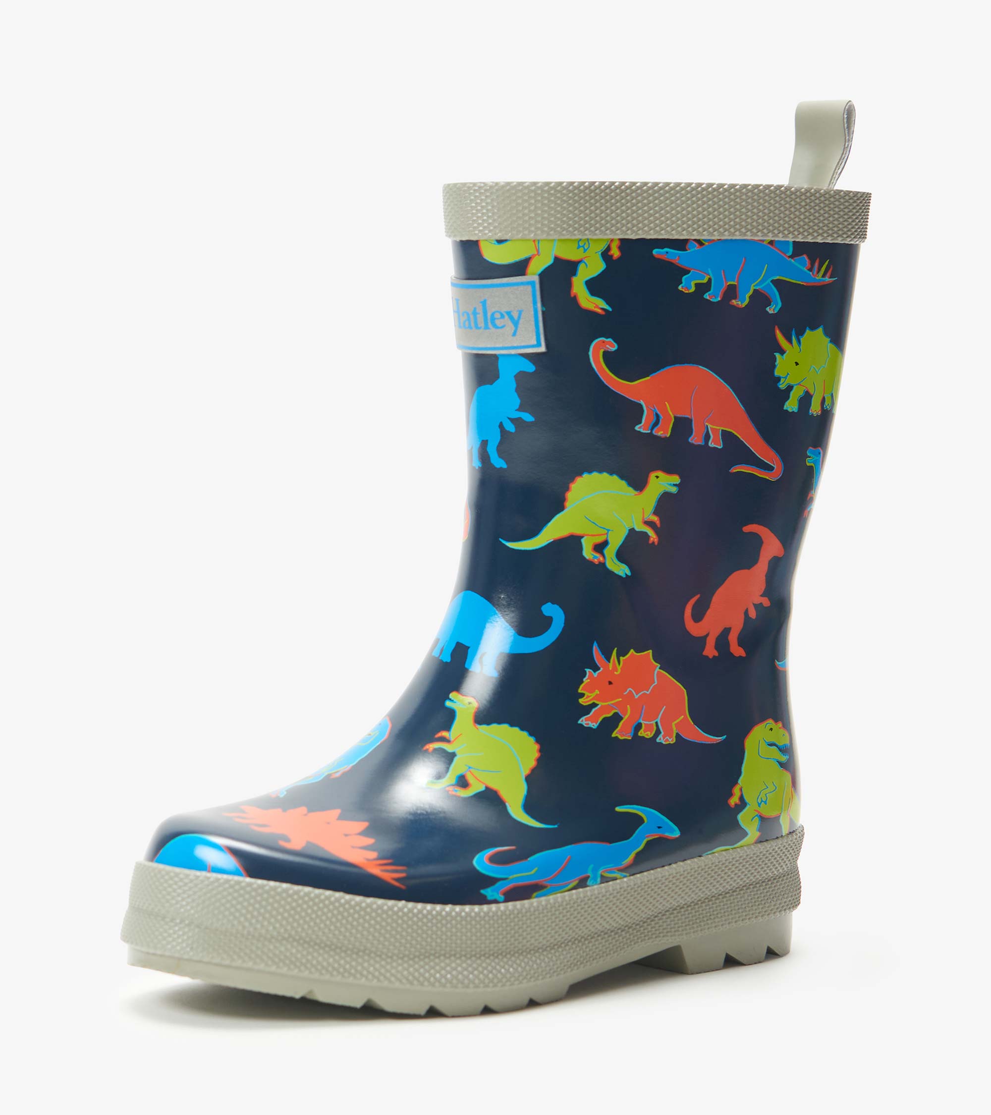 Boys Neon Dinos Shiny Rain Boots